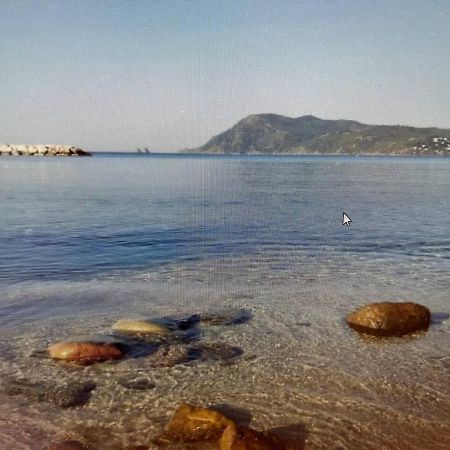 Pin Rollan Beach Saint-Mandrier-sur-Mer Eksteriør bilde