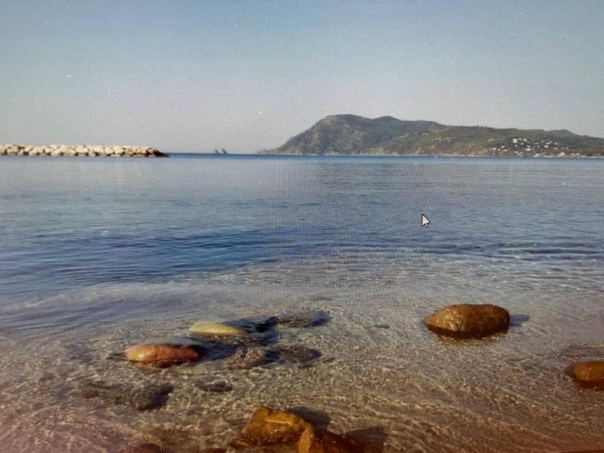 Pin Rollan Beach Saint-Mandrier-sur-Mer Eksteriør bilde