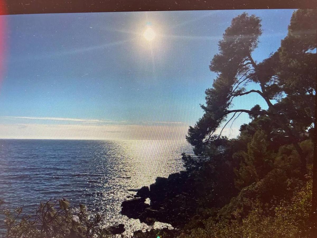 Pin Rollan Beach Saint-Mandrier-sur-Mer Eksteriør bilde